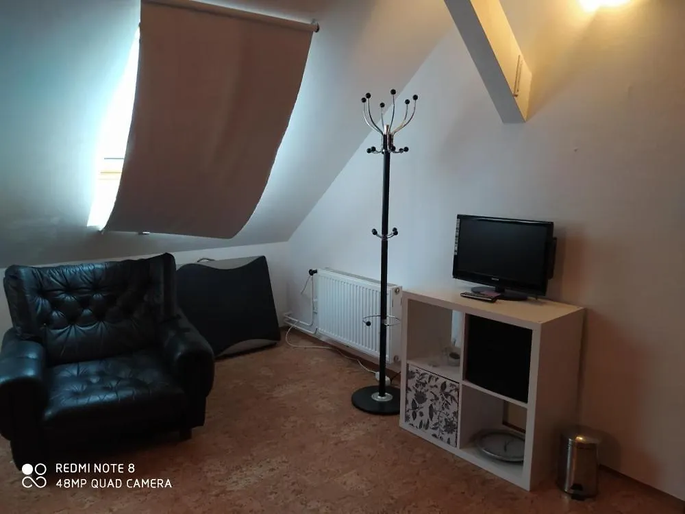 Wellness Zelesice Villa